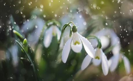 Погода у Старокостянтинові на 28 лютого - 6 березня: тиждень буде прохолодним