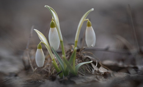 Погода в Старокостянтинові на 7-13 березня: коли чекати потепління