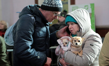 Ми відповідальні за тих, кого приручили. Фоторепортаж з евакуйованими тваринками