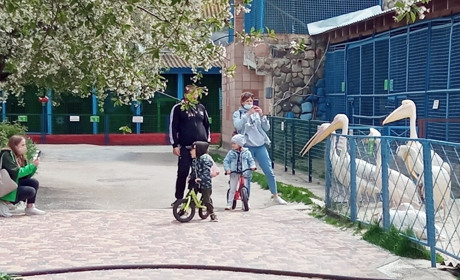 Як переживають війну мешканці Менського зоопарку