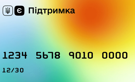 е-Підтримка: як нижньосірогозці можуть отримати 6500 грн від держави