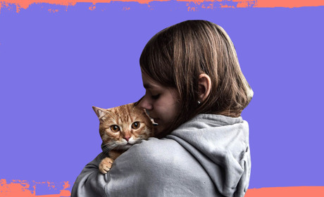 Я втратила свій дім ще 8 років тому. Розповіді українців, які були змушені тікати від війни