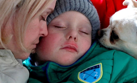 Врятовані тварини під час евакуації: дуже емоційні фото