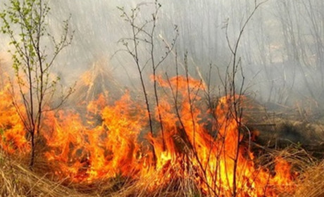 За навмисний підпал сухостою під час воєнного стану можуть засудити довічно