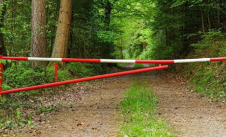 Відвідування лісу - заборонено