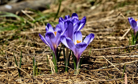 Погода у Старокостянтинові на 21-27 березня: переважатиме тепло