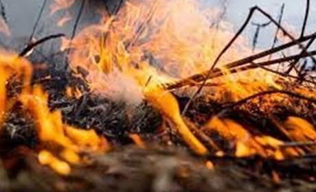 ДСНС ліквідували 28 пожеж за добу в Запорізькій області