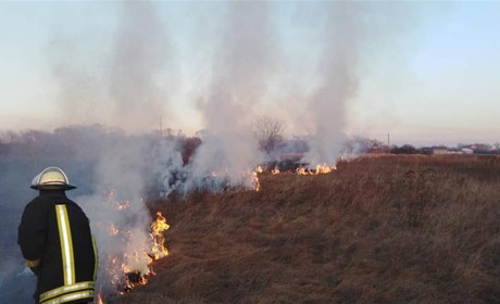 В Україні посилили відповідальність за підпал сухостою