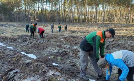 На Конотопщині розпочалася висадка лісу: як це було