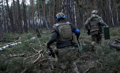 На Рівненщині заборонили відвідувати ліси на час війни
