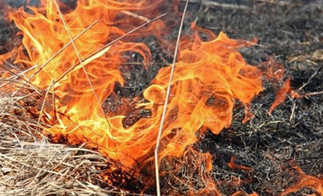 У Покровську та навколо нього палять суху траву: рятувальники розповіли подробиці