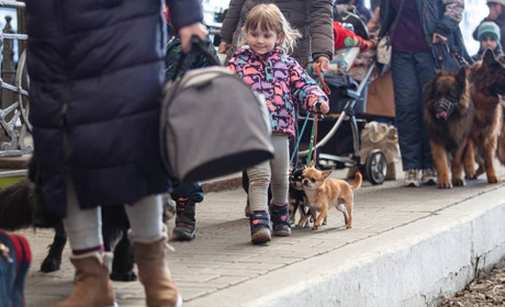 32 доба війни у цифрах: статистика ЗСУ, Укрзалізниці, Уповноваженого з прав людини