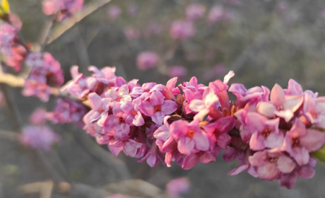 Погода в Старокостянтинові на 28 березня - 3 квітня: чи повернеться тепло