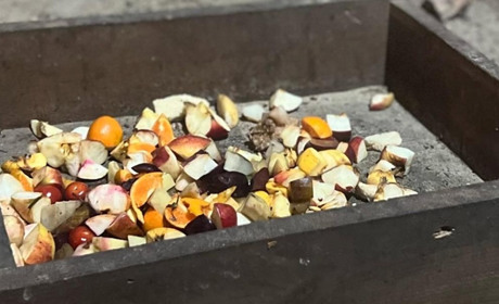 Гадяцька громада допомагає тваринам, що мешкають у Ковалівському екопарку