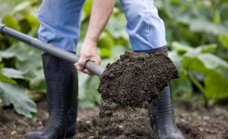 Торти, манікюр і копання городів: як жителі Торецька заробляють на життя?