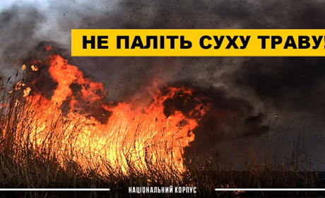 Спалювання сухостою тепер карається як диверсія
