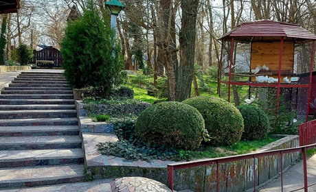 “Казкова діброва” запрошує підтримати тварин