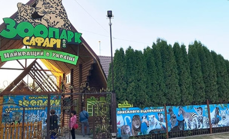 Бердянський зоопарк запустив електронні квитки, щоби нагодувати левів, альпаку та шимпанзе