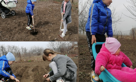 Сади перемоги. Як українці повертаються до роботи в городах, і навіщо вони це роблять