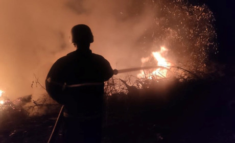 Надзвичайники Миколаївщини ліквідували 8 пожеж за добу. Горіли авто, будинки і сміття. Фото