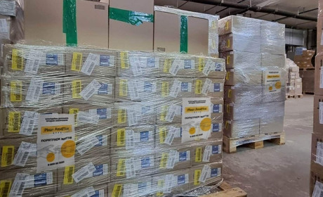 Інста-кіт, телемарафон і концерт на головній арені Стокгольма: хто збирає гроші для України