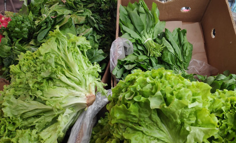 Багато свіжої городини та здешевшання деяких продуктів: весна на ринку Первомайська триває