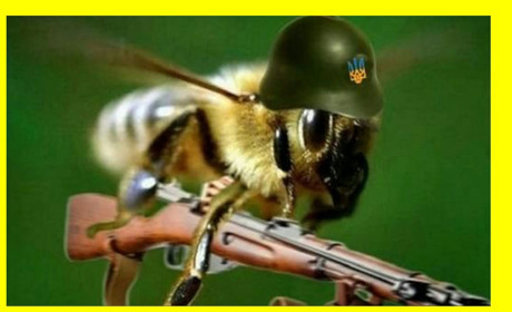 На Ніжинщині окупанти танками проти пасіки воювали.