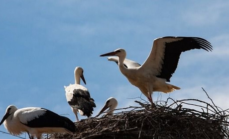 Погода в Старокостянтинові на 11-17 квітня: очікується чергове похолодання
