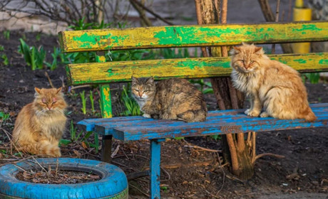 «Де би не був, не забуду дім»: лозівський фотограф показав місто