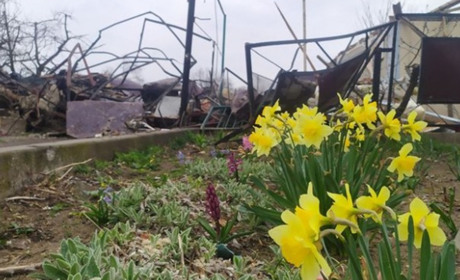 У Первомайському районі ситуація стабільна, на кордонах з Херсонщиною точаться бої. Оновлено