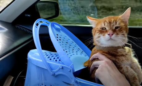 "Продумуйте майбутнє на два, три кроки наперед". YouTube-влогер розповів, як їхав до Дніпра