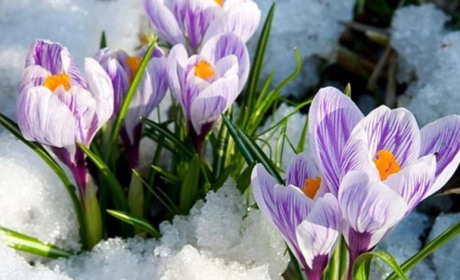 Незатишні вихідні: чекаємо на Білопільщині дощ зі снігом