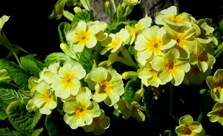 Погода на 18-24 квітня: контрасний тиждень та прогноз на Великдень