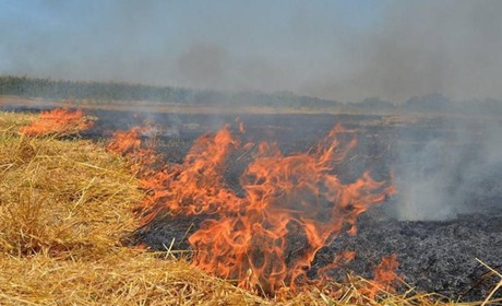 У Подільському районі паліїв трави прирівняють до диверсантів