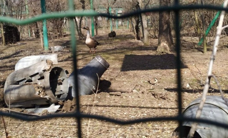 Рахуємо, які збитки від війни мають постраждалі заповідні території та зоопарки України