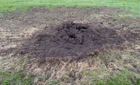 У Пологівському районі українські воїни збили ворожий гвинтокрил