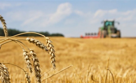 У Генічеському районі окупанти захоплюють агрофірми