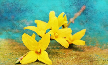 Погода на 25 квітня - 1 травня: чи буде по-весняному тепло