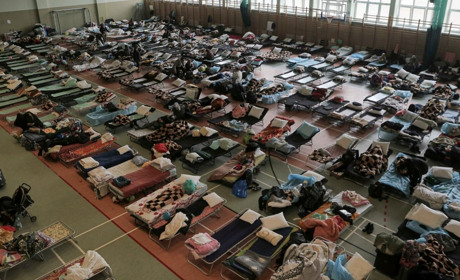 Польща, Швеція та Україна. Де чекають евакуйованих з Добропілля?