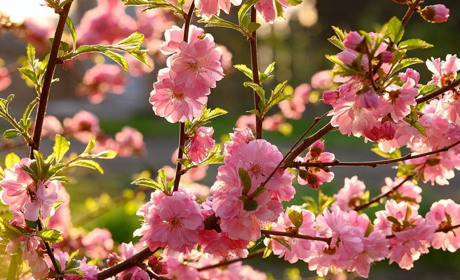 В Укргідрометцентрі розповіли, яка погода чекає на українців у травні. Що у Старокостянтинові