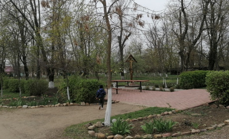 Війна не приборкала бажання створювати красу. Як у Повстанському ґаздували та оновлювали квітники