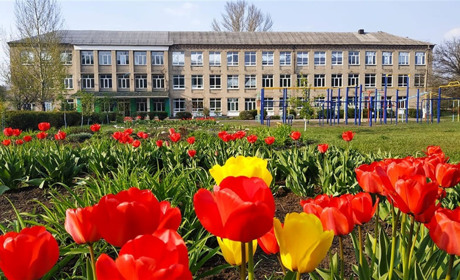 Освіта під час війни. Усі школи Добропільської громади працюють в онлайн-режимі