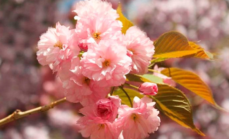 Як це, жити в умовах війни? Нова розмова із старокостянтинівцями