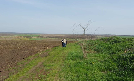 У Лисій Горі на Первомайщині переорали озимі: земельний конфлікт