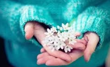 У бібліотеці працює «Насіннєва скарбниця». Можна поділитися своїм насінням з іншими, а ще обміняти