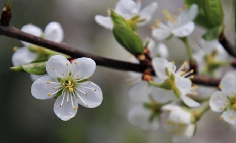 Погода в Старокостянтинові на 2-8 травня: пануватиме тепло