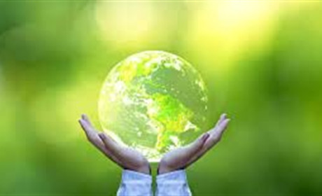 Zero waste у реальному житті. Навіщо та як правильно компостувати