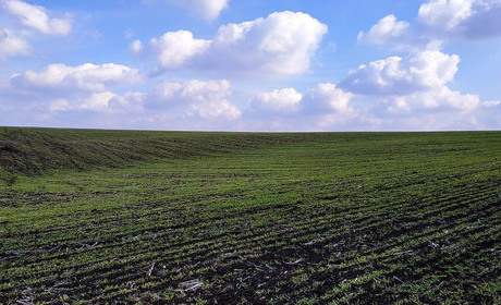 "Буде продовольство - будуть сили для перемоги!"- переконаний білопільський фермер Микола Слинько