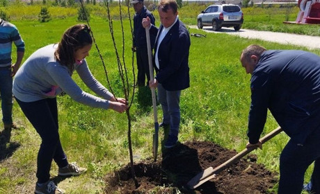 У селі Перше Травня висаджують квіти і плодові дерева