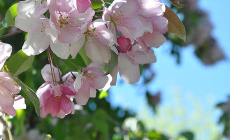 Погода у Старокостянтинові на 9-15 травня: накриє хвиля тепла. Чи надовго